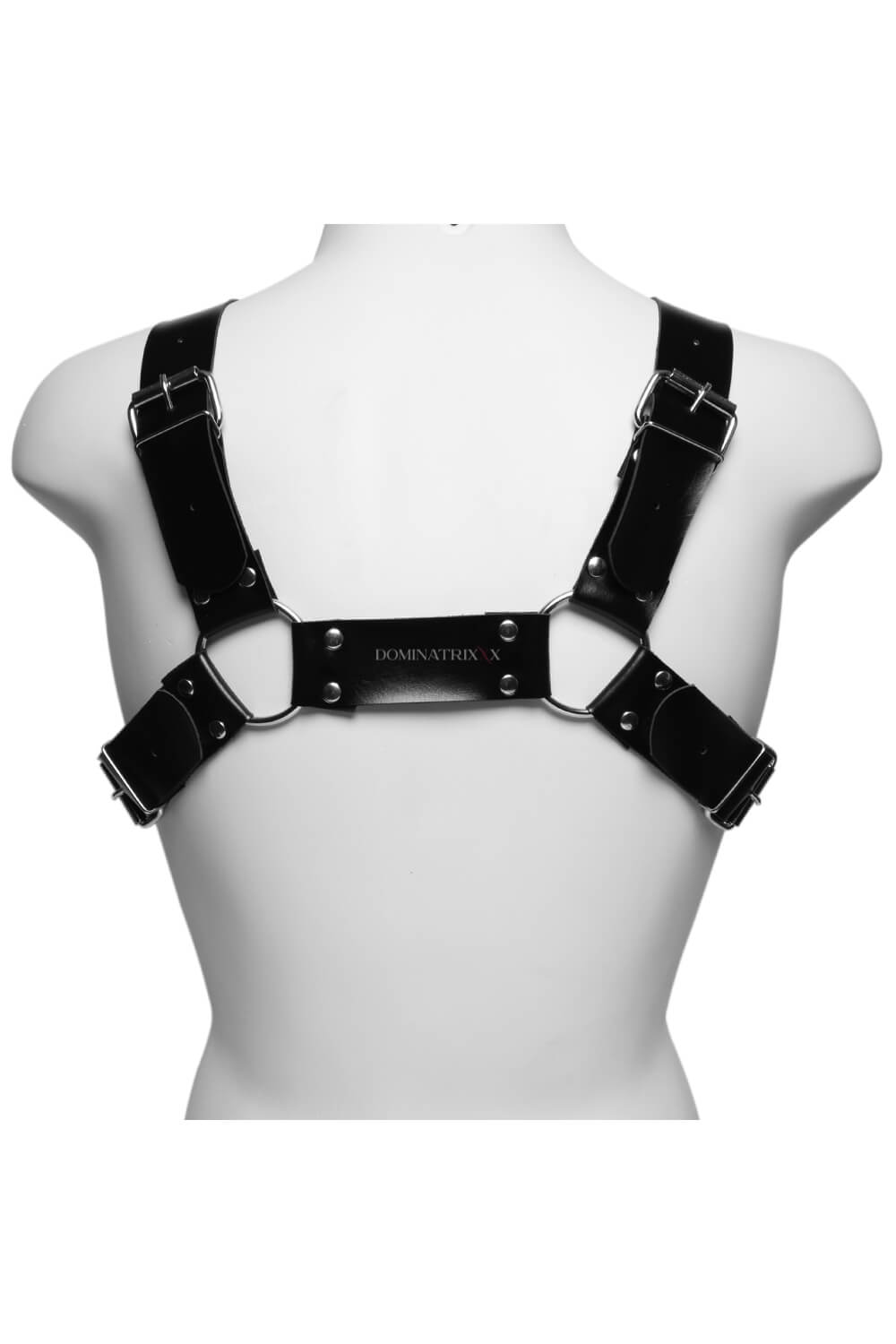 Harness Aquiles
